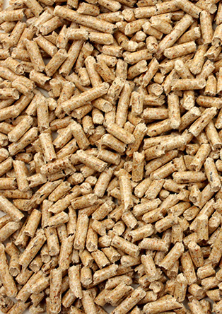 Pelet - Slika 1